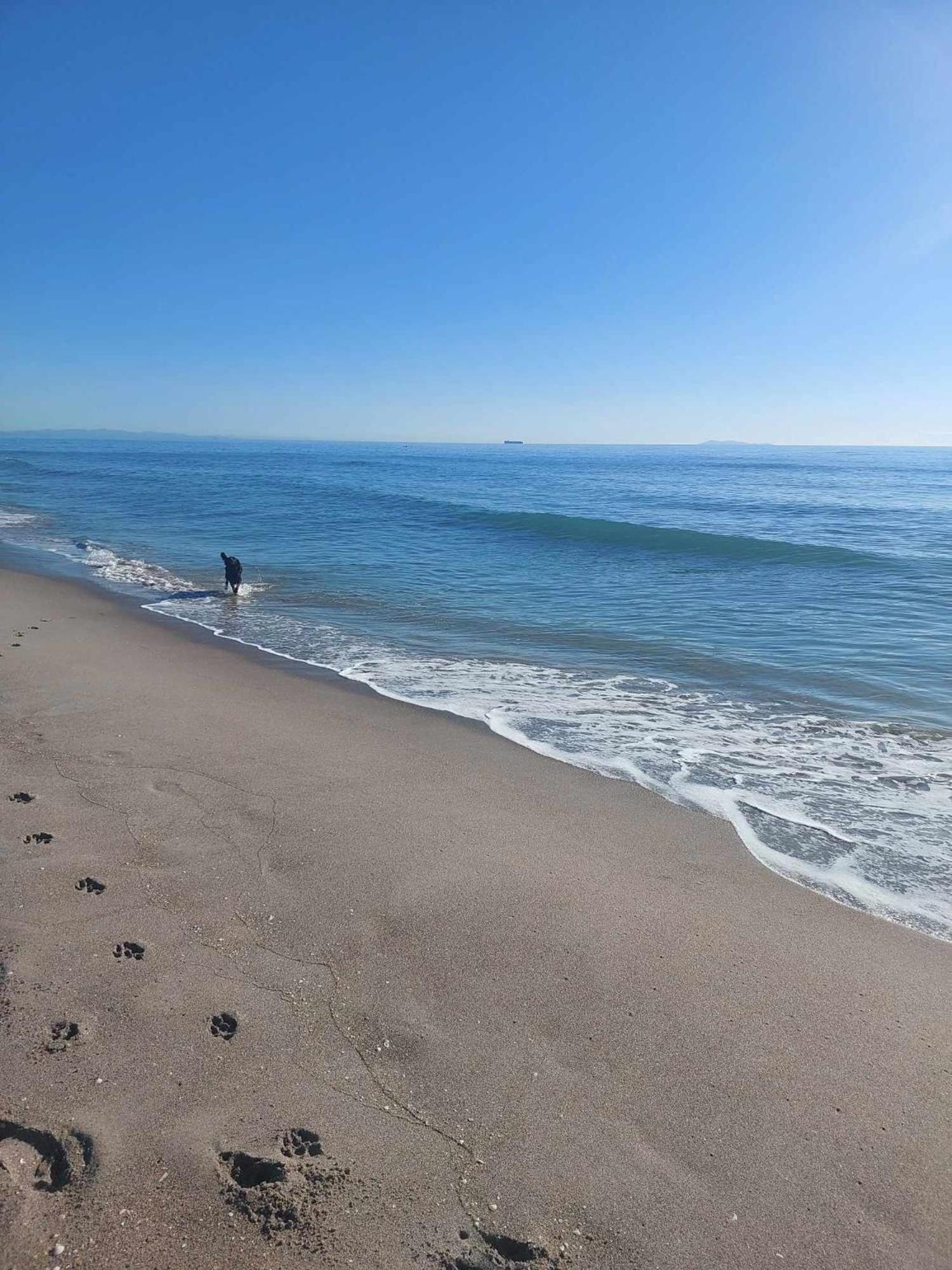 Sandbar Views Beachside Retreat - 100M From The Beach & Pets Welcome Papamoa Exterior photo